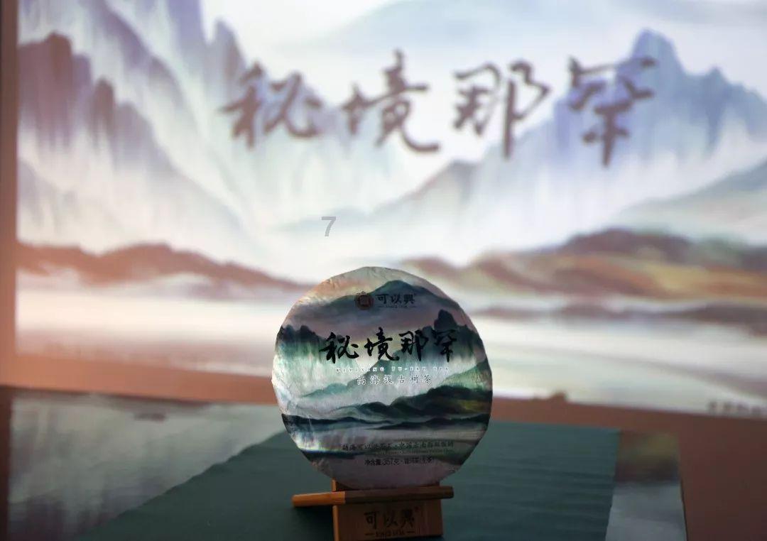 原始丛林找星星